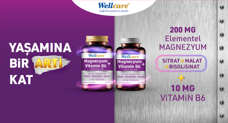 Wellcare Magnezyum + Vitamin B6