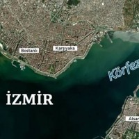 Türkiye’de Neden Deniz Taşıyor?