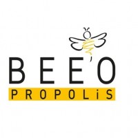 BEE’O Propolis’ten Yeni Yıl Hediyeleri
